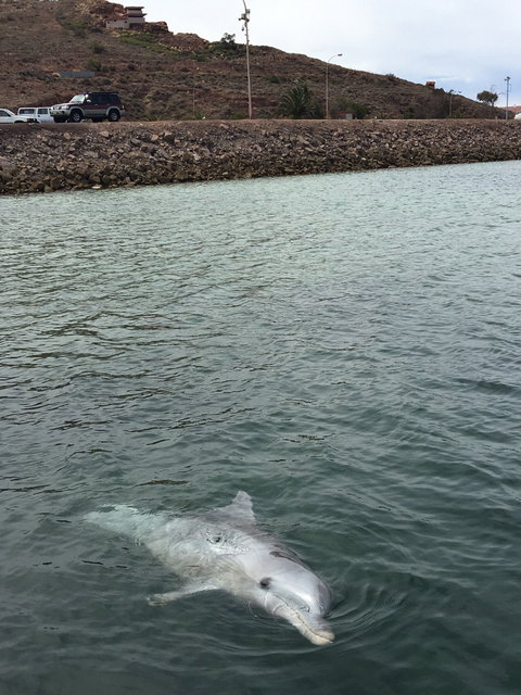 Whyalla Foreshore - Accommodation Mooloolaba 1