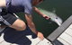 Whyalla Foreshore - thumb 2