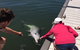 Whyalla Foreshore - thumb 7