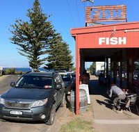 Fish - Accommodation Mooloolaba