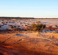 Mozie's Truckstop  Diner - Accommodation Mooloolaba
