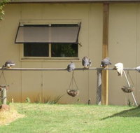 Sandy Grove - Accommodation Mooloolaba
