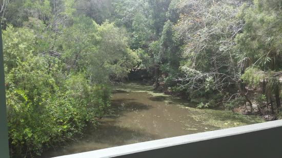 Gladstone SA Accommodation Mooloolaba