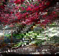 The Bridgewater Inn - Accommodation Mooloolaba