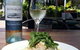 Quay Street Cafe & Bar - thumb 2
