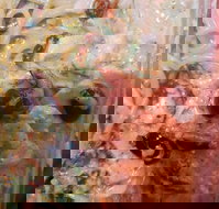 Surfside Pizza - Accommodation Mooloolaba