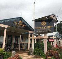 Exotic Marigold Licensed Indian Restaurant - Accommodation Mooloolaba
