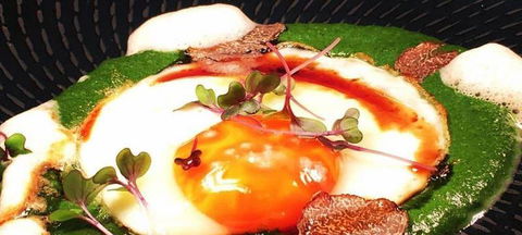 Aquavue Cafe Watersports - Accommodation Mooloolaba 2