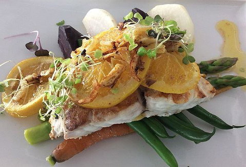 The Organik Store & Cafe - Accommodation Mooloolaba 1