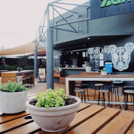 Fat Dogz - Accommodation Mooloolaba 0