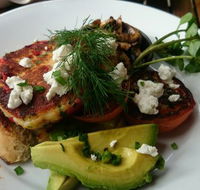 Green Turtle Cafe  Bar - Accommodation Mooloolaba