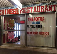 The Lotus Chinese Restaurant - Accommodation Mooloolaba