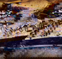 Driftwood Cafe - Accommodation Mooloolaba