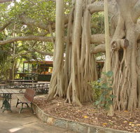 Gardens Tearooms - Accommodation Mooloolaba