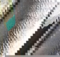 Hotel Tully - Accommodation Mooloolaba