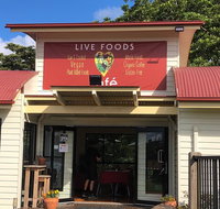 Live Foods Cafe  Restaurant - Accommodation Mooloolaba