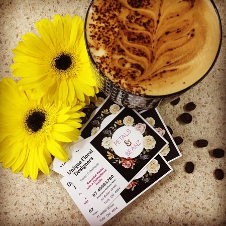 Bedarra Island QLD Accommodation Mooloolaba