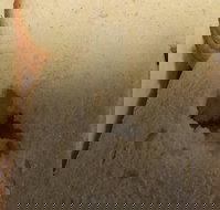 Sugarloaf Baking Co - Accommodation Mooloolaba