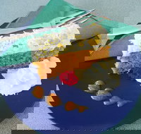 Willie Wagtails Nest