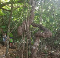 Foxy's Bar - Accommodation Mooloolaba
