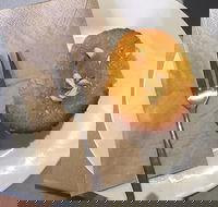 New Leaf Cafe Murwillumbah - Accommodation Mooloolaba