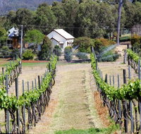 Prendergasts Irish Tavern - Accommodation Mooloolaba