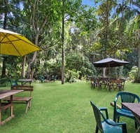 Rainforest - Accommodation Mooloolaba