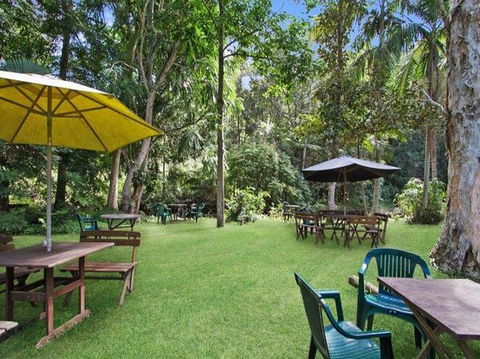 Rainforest - Accommodation Mooloolaba 0
