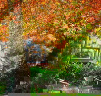 The Woods Ravensbourne - Accommodation Mooloolaba