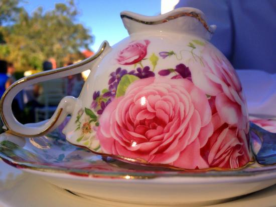 Barramornie QLD Accommodation Mooloolaba