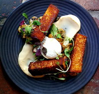 Mr Foxx - Accommodation Mooloolaba