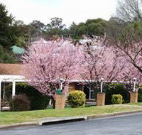 White Lanterns Motel - Accommodation Mooloolaba