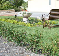 SureStay by BW The Clarence on Melville - Accommodation Mooloolaba