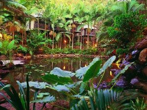 Daintree Eco Lodge & Spa - Accommodation Mooloolaba 0
