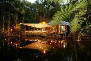 Daintree Eco Lodge & Spa - Accommodation Mooloolaba 2