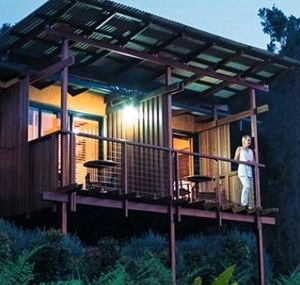 O'Reilly's Rainforest Guesthouse - Accommodation Mooloolaba 1