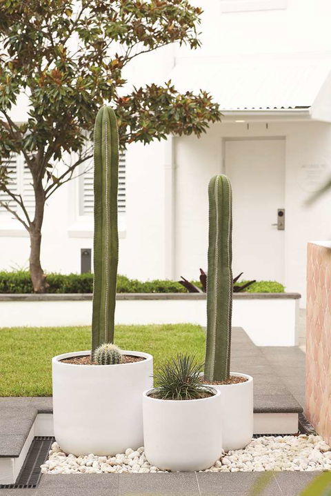 Adina Apartment Hotel Chippendale - Accommodation Mooloolaba 0