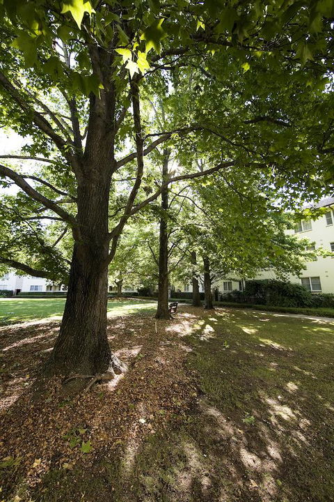 University House - ANU - Accommodation Mooloolaba 28