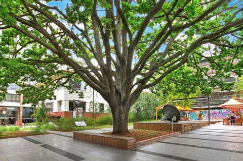 Canberra Luxury Apartment 3 - Accommodation Mooloolaba 29