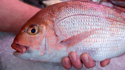 Mollymook Beach Waterfront - Accommodation Mooloolaba 16