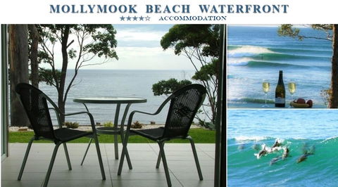 Mollymook Beach Waterfront - Accommodation Mooloolaba 1