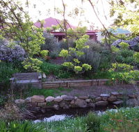 Frog Song at Willunga - Accommodation Mooloolaba