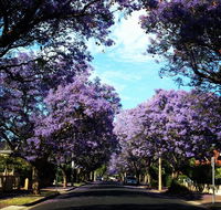 Monaco Court Apartment Adelaide - Accommodation Mooloolaba