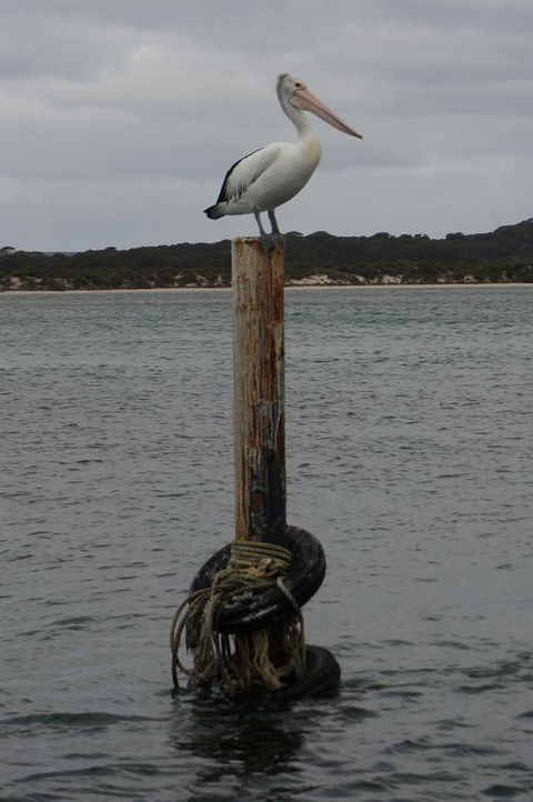 Kohinoor Getaway - Accommodation Mooloolaba 13