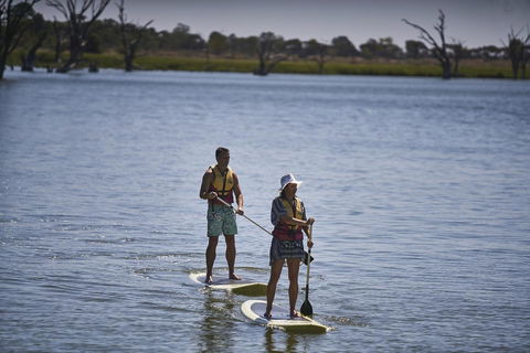 Discovery Parks - Lake Bonney - Accommodation Mooloolaba 19