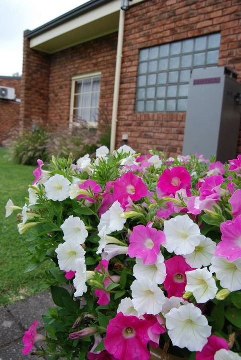 Arkana Motor Inn & Terrace Apartments - Accommodation Mooloolaba 40