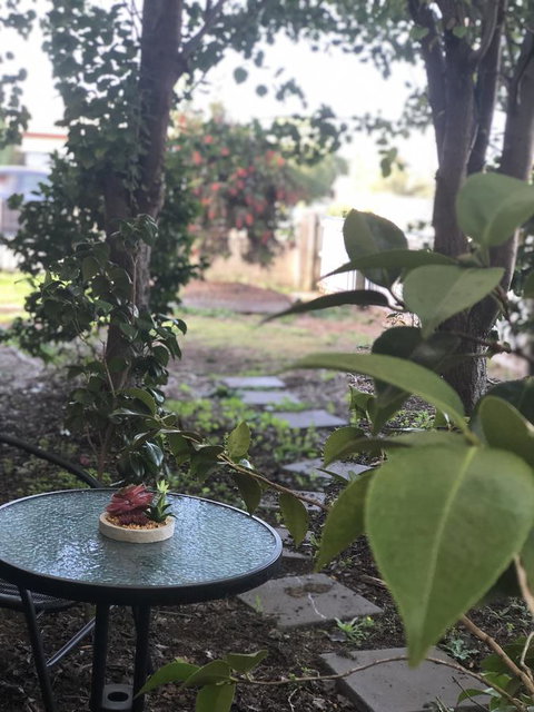 Olive\'s Cottage - Accommodation Mooloolaba 2