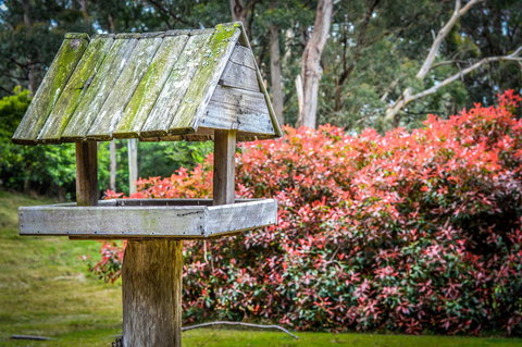 Ghost Hill Road Retreat - Accommodation Mooloolaba 17