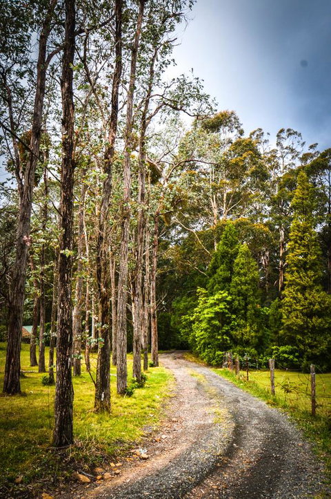 Ghost Hill Road Retreat - Accommodation Mooloolaba 14