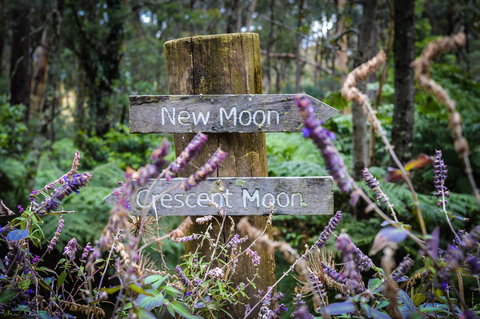 Ghost Hill Road Retreat - Accommodation Mooloolaba 15